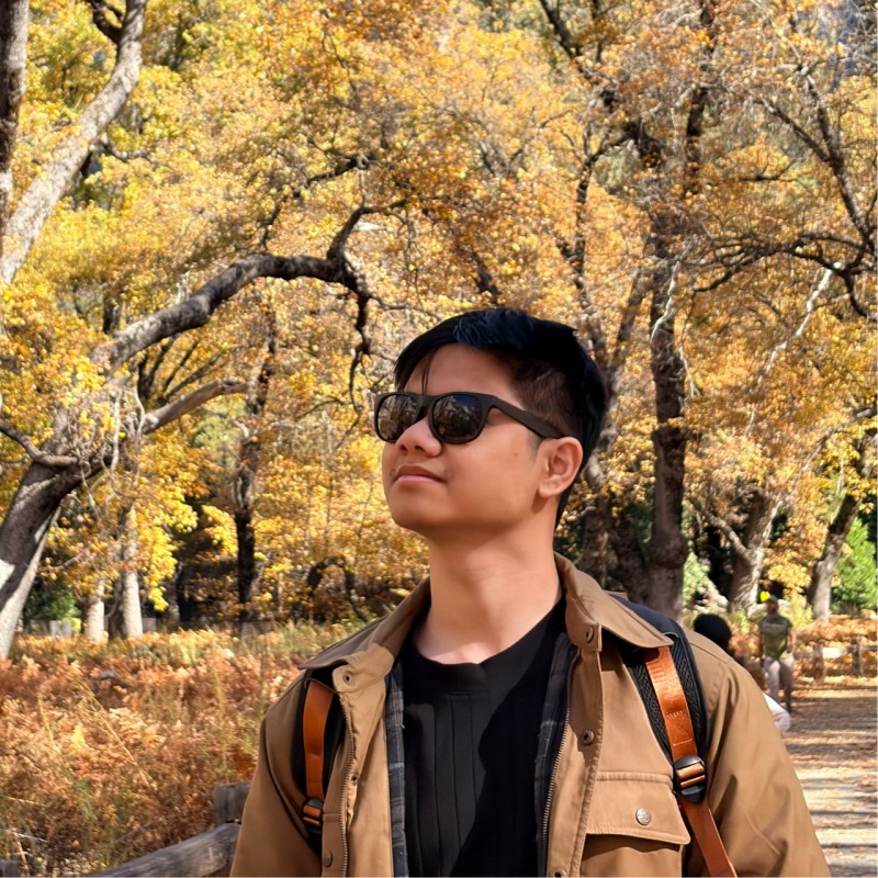 Xuan-Phi Nguyen